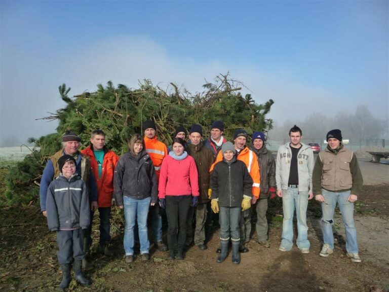 Crémation des sapins - 2012