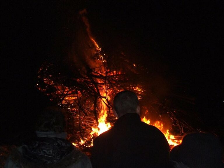 Crémation des sapins