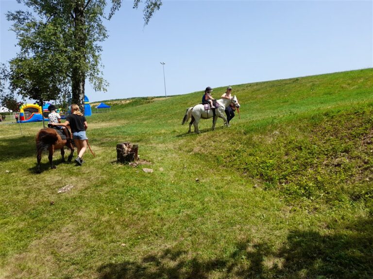 La kermesse des Petits Courlis