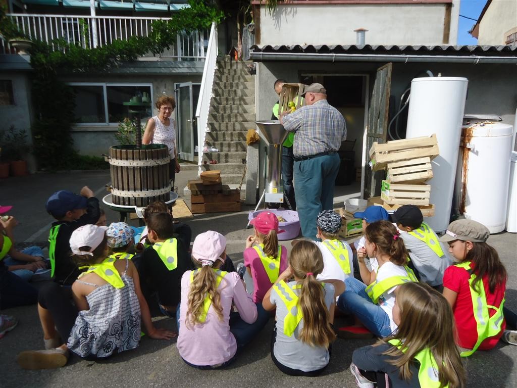 Leçon « jus de pomme » pour les écoliers