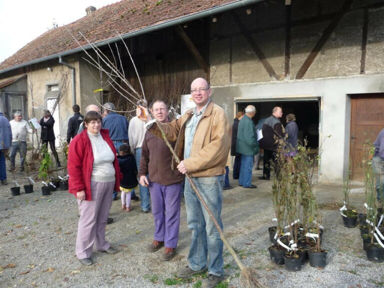 Les arbres de la Sainte Catherine - 2012