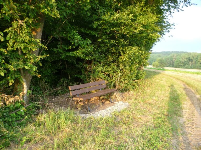 Nouveau banc Notre Dame des Moissons