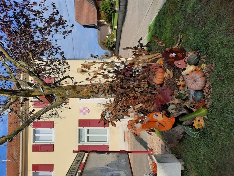 Petite décoration d'automne devant la mairie