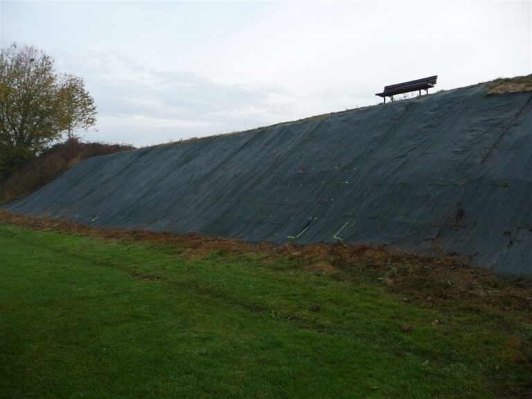 Plantation du talus au terrain de Foot