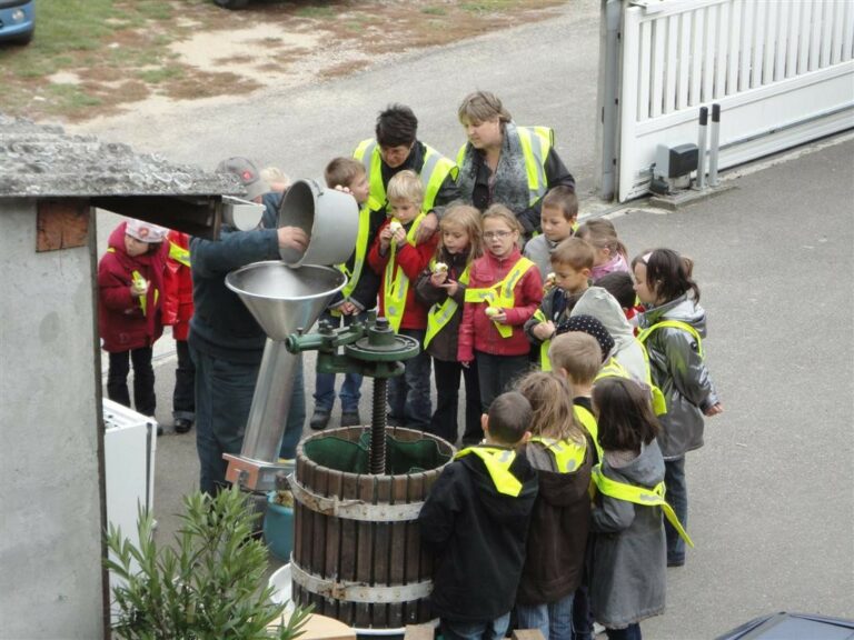 Démonstration de pressage de jus de pomme pour les élèves - 16/10/2010