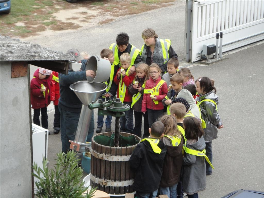 Démonstration de pressage de jus de pomme pour les élèves - 16/10/2010