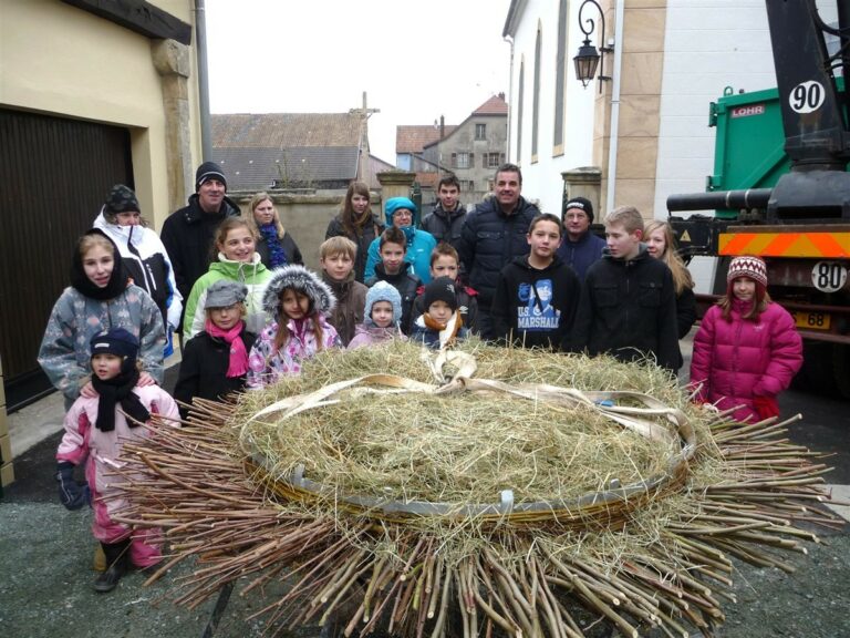 Un nouveau nid pour les cigognes