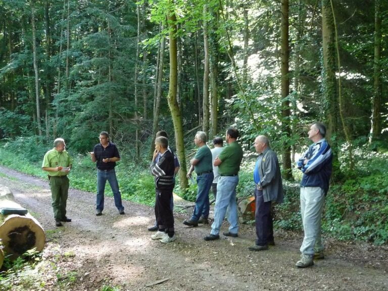 Vente de bois - 2011